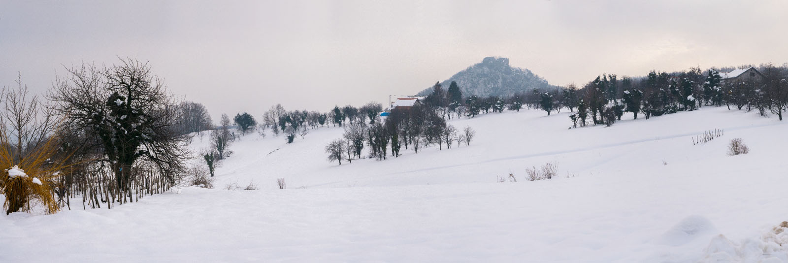 OKIC2 PANORAMA